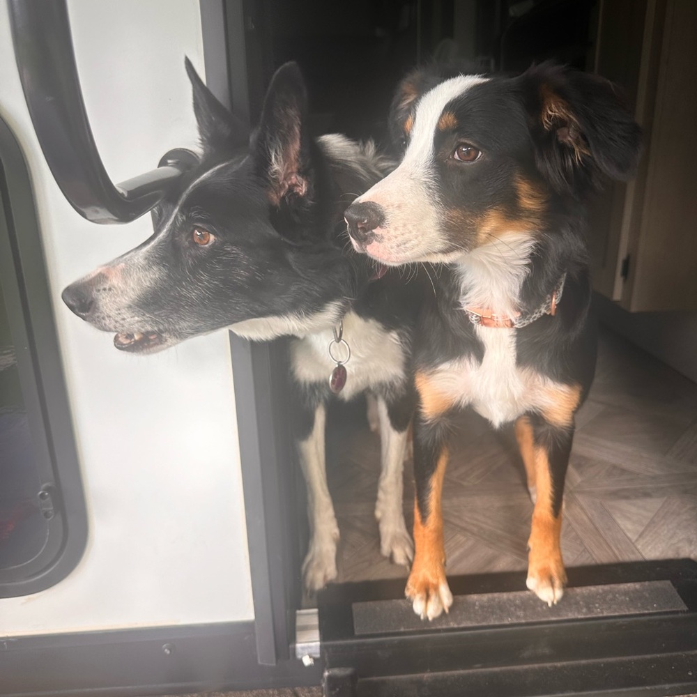 Kay’s Kloset is LIVE!!! - Picture 7 of 16